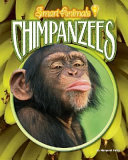 Chimpanzees cover