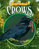 Crows cover