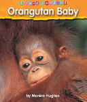 Orangutan Baby cover