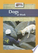 Dogs at Work cover