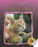Little Cats cover