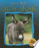 Little Donkeys cover