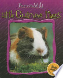 Little Guinea Pigs cover