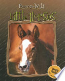 Little Horses cover