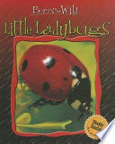 Little Ladybugs cover
