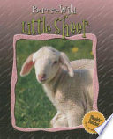 Little Sheep cover