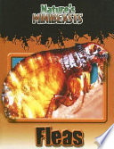 Fleas cover