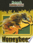 Honeybees cover