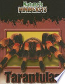 Tarantulas cover