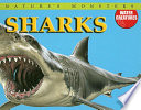 Sharks cover