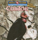 Condors cover