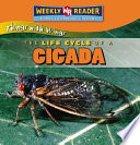 The Life Cycle of a Cicada cover