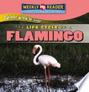 The Life Cycle of a Flamingo cover