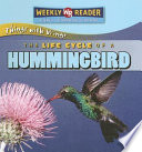 The Life Cycle of a Hummingbird cover