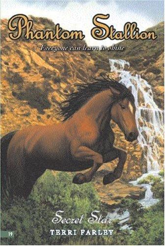 Secret Star cover