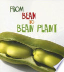 From Bean to Bean Plant cover