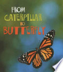 From Caterpillar to Butterfly cover