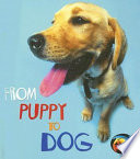 From Puppy to Dog cover