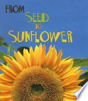 From Seed to Sunflower cover