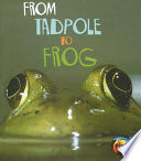 From Tadpole to Frog cover