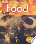 Food cover