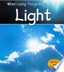 Light cover