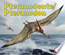 Pteranodon cover