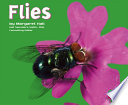 Flies cover