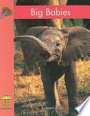 Big Babies cover