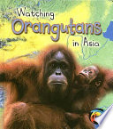 Watching Orangutans in Asia cover