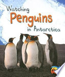 Watching Penguins in Antarctica cover