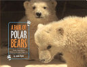 A Pair of Polar Bears: Twin Cubs Find a Home at the San Diego Zoo cover