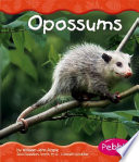 Opossums cover