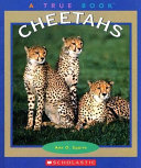 Cheetahs cover