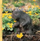 Baby Porcupine cover