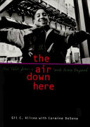 The Air Down Here: True Tales from a South Bronx Boyhood cover
