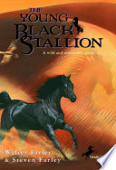 The Young Black Stallion cover