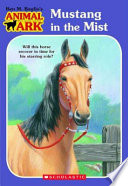 Mustang in the Mist cover
