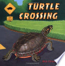 Turtle Crossing cover