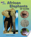 African Elephants up Close cover