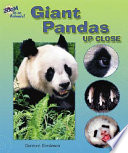 Giant Pandas up Close cover