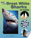 Great White Sharks up Close cover
