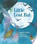 Little Lost Bat cover