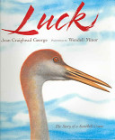 Luck cover