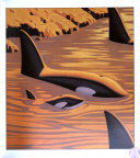 Waiting for the Whales cover