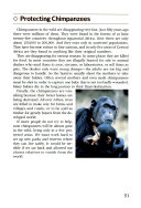Chimps cover