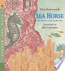 Sea Horse: The Shyest Fish in the Sea cover