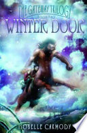 Winter Door cover