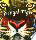 Bengal Tiger cover