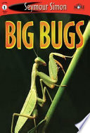 Big Bugs cover